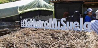 Agricultura sostenible se transforma en prioridad para productores de la provincia de Arauco