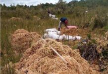 Agrupaciones ambientales de Chiloé rechazan la Ley de Turberas