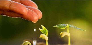Agua para la Paz: estrategias para un futuro sostenible