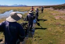 CONAF y CONADI implementan restauración de bofedales a través de prototipo de glaciares artificiales