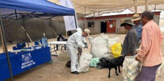 CampoLimpio realiza exitosa jornada de recolección de envases en Arica 