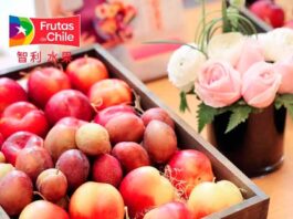 Centrados en sus aportes para la salud carozos chilenos son promocionados en China