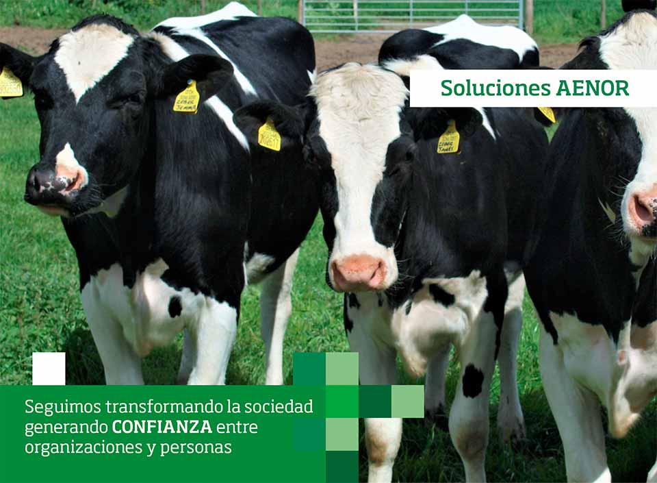 Entrega de Certificación de Bienestar Animal a COOPERATIVA AGRÍCOLA Y LECHERA CAMPOS AUSTRALES en Osorno, Chile