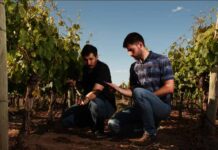 Climate Tech genera beneficios para agricultores y empresas que operan en una misma cuenca
