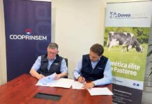 Cooprinsem y Dovea Genetics unen fuerzas para la exportación de genética bovina de excelencia