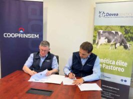 Cooprinsem y Dovea Genetics unen fuerzas para la exportación de genética bovina de excelencia