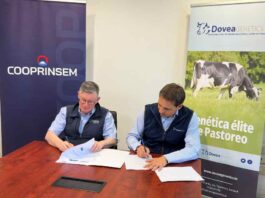 Cooprinsem y Dovea Genetics unen fuerzas para la exportación de genética bovina de excelencia