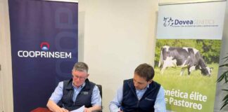 Cooprinsem y Dovea Genetics unen fuerzas para la exportación de genética bovina de excelencia