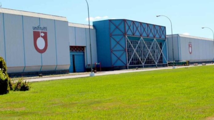 El grupo Unifrutti adquiere Bomarea y Avoamerica Perú para reforzar aún más su plataforma multifrutícola mundial