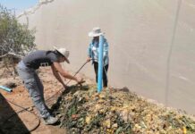 “El mayor aporte de las mujeres en la agricultura es el cariño que le ponen a todo lo que hacen”