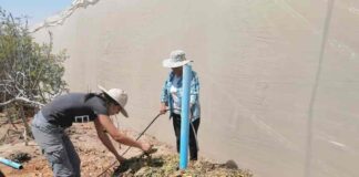 “El mayor aporte de las mujeres en la agricultura es el cariño que le ponen a todo lo que hacen”