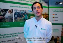 Entrega de Certificación de Bienestar Animal a COOPERATIVA AGRÍCOLA Y LECHERA CAMPOS AUSTRALES en Osorno, Chile