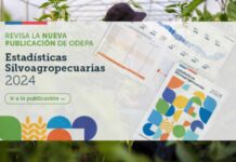 Estadísticas Silvoagropecuarias 2024: Sector aportó 2,8% al PIB Nacional durante 2022
