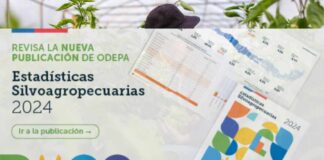 Estadísticas Silvoagropecuarias 2024: Sector aportó 2,8% al PIB Nacional durante 2022