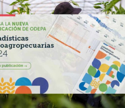 Estadísticas Silvoagropecuarias 2024: Sector aportó 2,8% al PIB Nacional durante 2022