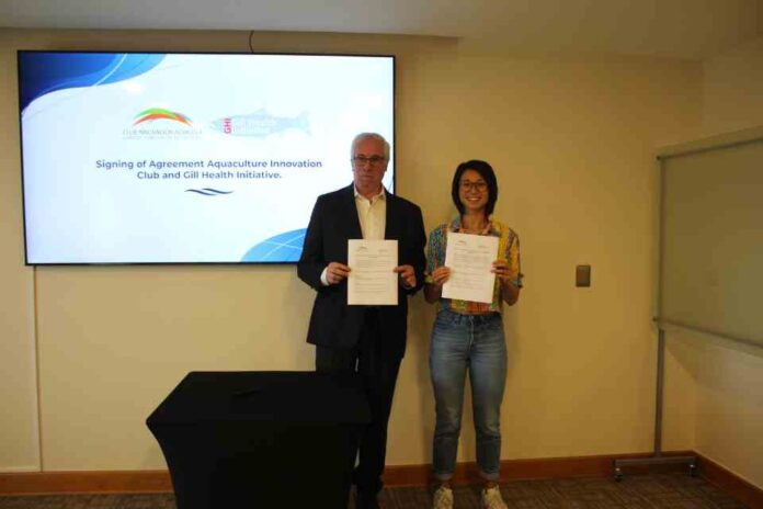 Gill Health initiative y club innovación acuícola de Chile firmaron acuerdo de colaboración