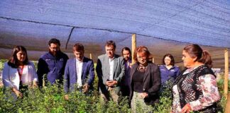 Gobierno visita innovador proyecto de pequeña agricultora y entrega bonificaciones por más de $591 millones a mujeres de La Araucanía