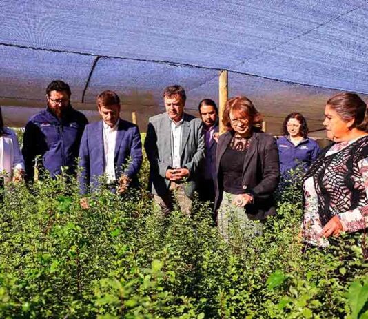 Gobierno visita innovador proyecto de pequeña agricultora y entrega bonificaciones por más de $591 millones a mujeres de La Araucanía