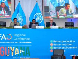 Los países de América Latina y el Caribe establecieron nuevas prioridades de la FAO en la región para transformar los sistemas agroalimentarios y garantizar seguridad alimentaria  