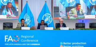 Los países de América Latina y el Caribe establecieron nuevas prioridades de la FAO en la región para transformar los sistemas agroalimentarios y garantizar seguridad alimentaria  