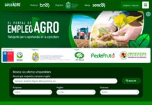 Lanzan el primer portal de empleo exclusivo para el mundo agrícola. PORTAL EMPLEO AGRO
