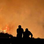 Partir de cero: El nuevo enfoque requerido para enfrentar los incendios forestales