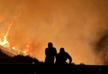 Partir de cero: El nuevo enfoque requerido para enfrentar los incendios forestales