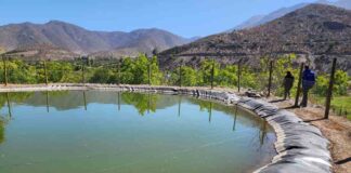Pequeña agricultora de Salamanca valora construcción de embalse y nuevo sistema de riego para mejorar gestión hídrica