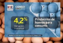 Producción de huevos de consumo presentó un crecimiento interanual de 4,2% en enero de 2024