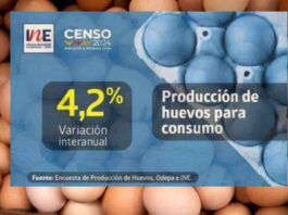 Producción de huevos de consumo presentó un crecimiento interanual de 4,2% en enero de 2024
