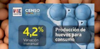 Producción de huevos de consumo presentó un crecimiento interanual de 4,2% en enero de 2024