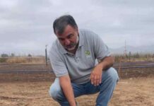 Prueban en Coquimbo sistema de riego altamente eficiente para cultivo de alfalfa