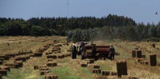 SAG Biobío llama a agricultores/as postular a concurso del Programa Recuperación de Suelos