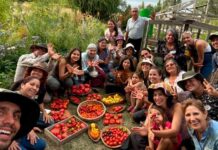 Semilla Austral: Guardianes de la biodiversidad y la  soberanía alimentaria en Chile