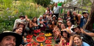 Semilla Austral: Guardianes de la biodiversidad y la  soberanía alimentaria en Chile