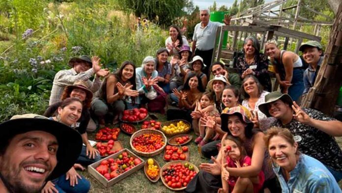 Semilla Austral: Guardianes de la biodiversidad y la  soberanía alimentaria en Chile