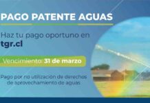 TGR invita a pagar en su portal patentes mineras y de aguas