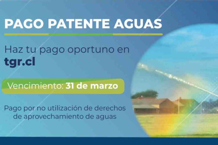 TGR invita a pagar en su portal patentes mineras y de aguas