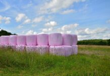 ULagos desarrolla prototipo BOLOPLAST® para reciclaje en terreno de plásticos de bolos forrajeros