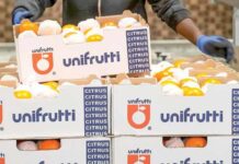 UNIFRUTTI ADQUIERE VERFRUT PARA REFORZAR SU PLATAFORMA MULTIFRUTÍCOLA MUNDIAL