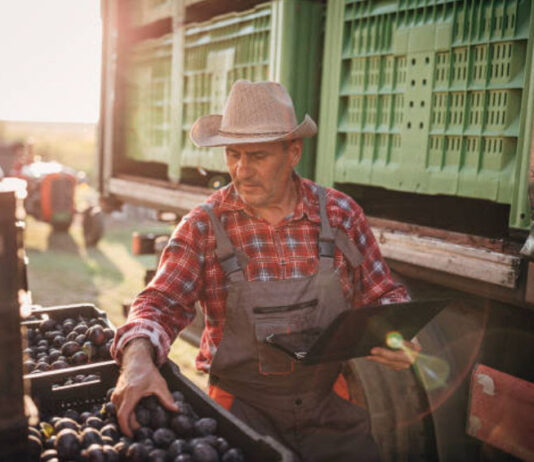 Rechazo de agroexportaciones se reducirá hasta un 90% con nueva herramienta tecnológica