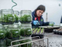 Agromillora muestra positivos resultados en la reducción completa de la jornada laboral a 40 horas semanales Agromillora muestra positivos resultados en la reducción completa de la jornada laboral a 40 horas semanales