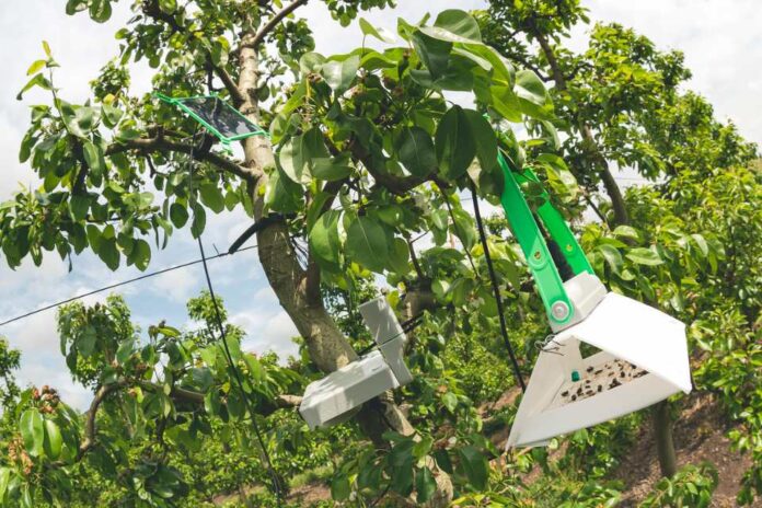 Agrotech nacional gestiona patente de su innovación en tres importantes mercados: Chile, EEUU y Brasil