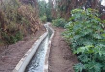 CNR invita a regantes de Atacama y Coquimbo a participar en nueva convocatoria dirigida a la pequeña agricultura y cooperativas