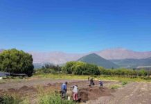 Camino hacia un sistema productivo adaptado al cambio climático