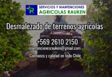 El Desmalezado de Terrenos Agrícolas: Una Práctica Vital para el Éxito de los Cultivos