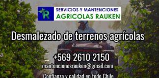 El Desmalezado de Terrenos Agrícolas: Una Práctica Vital para el Éxito de los Cultivos