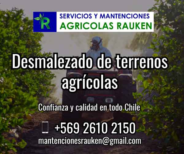 Desmalezado de Terrenos Agrícolas - RAUKEN