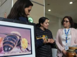 Destacan mieles de apicultora de Yumbel en Festival Ñam de Santiago