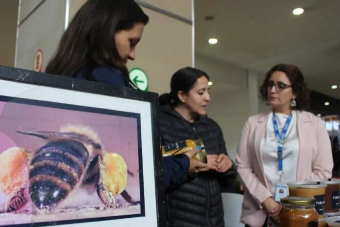 Destacan mieles de apicultora de Yumbel en Festival Ñam de Santiago